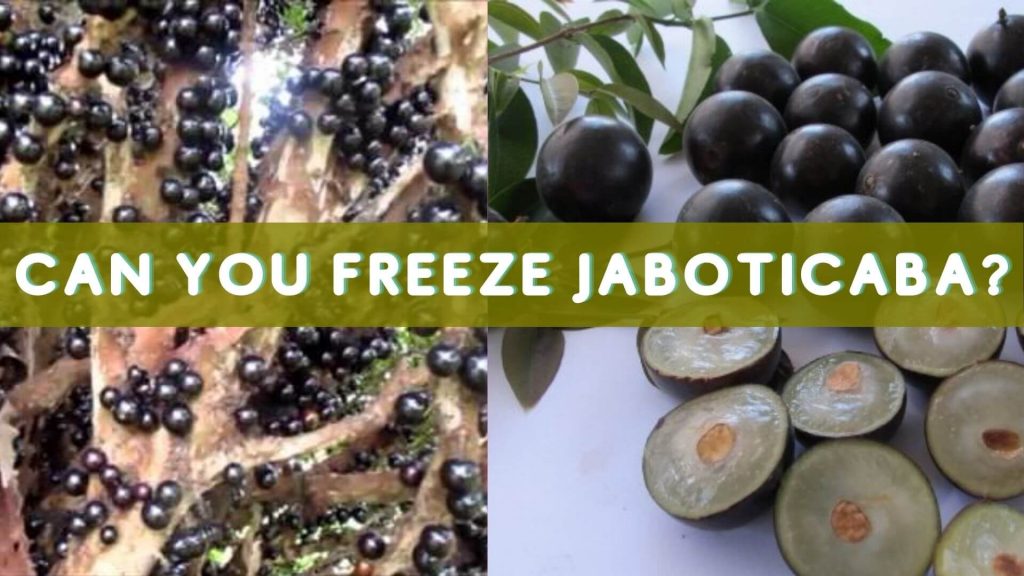 Yes you can freeze Jaboticaba. 