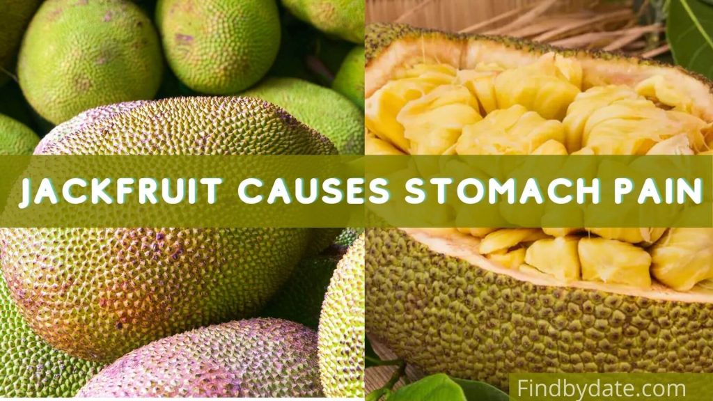 home remedies for stomach pain after eating jackfruit