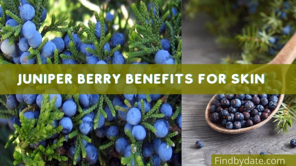 juniper berry health benefits