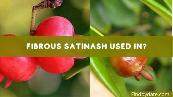 Fibrous Satinash fruit