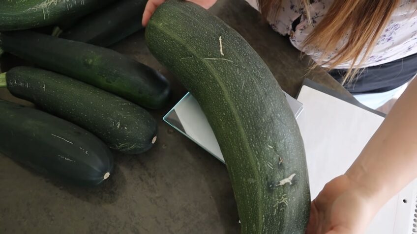 Keep The Zucchini Whole, Dry And Unwashed