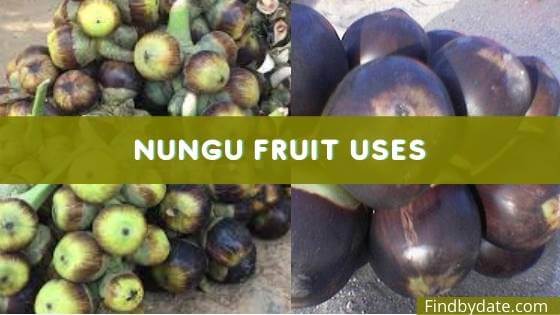 What is Nungu fruit