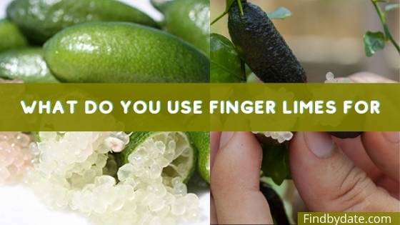 finger lime good for?