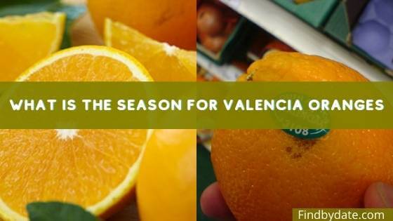 Valencia Orange Fruit