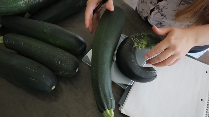 Whole Zucchini At The Fridge