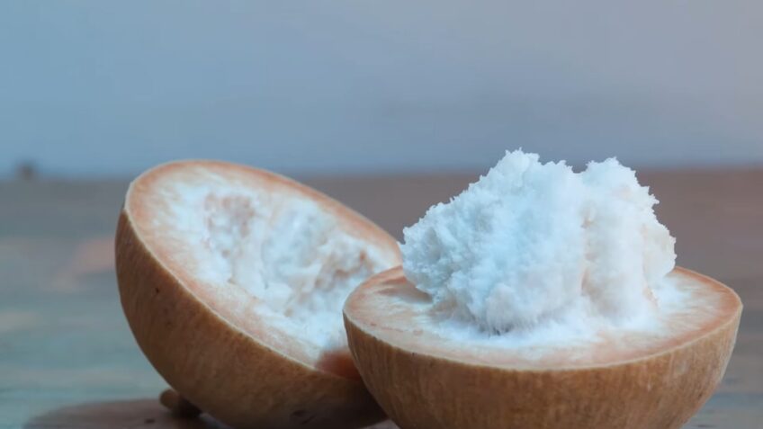 santol fruit