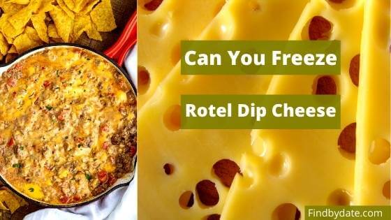 Can I Freeze Rotel Cheese Dip
