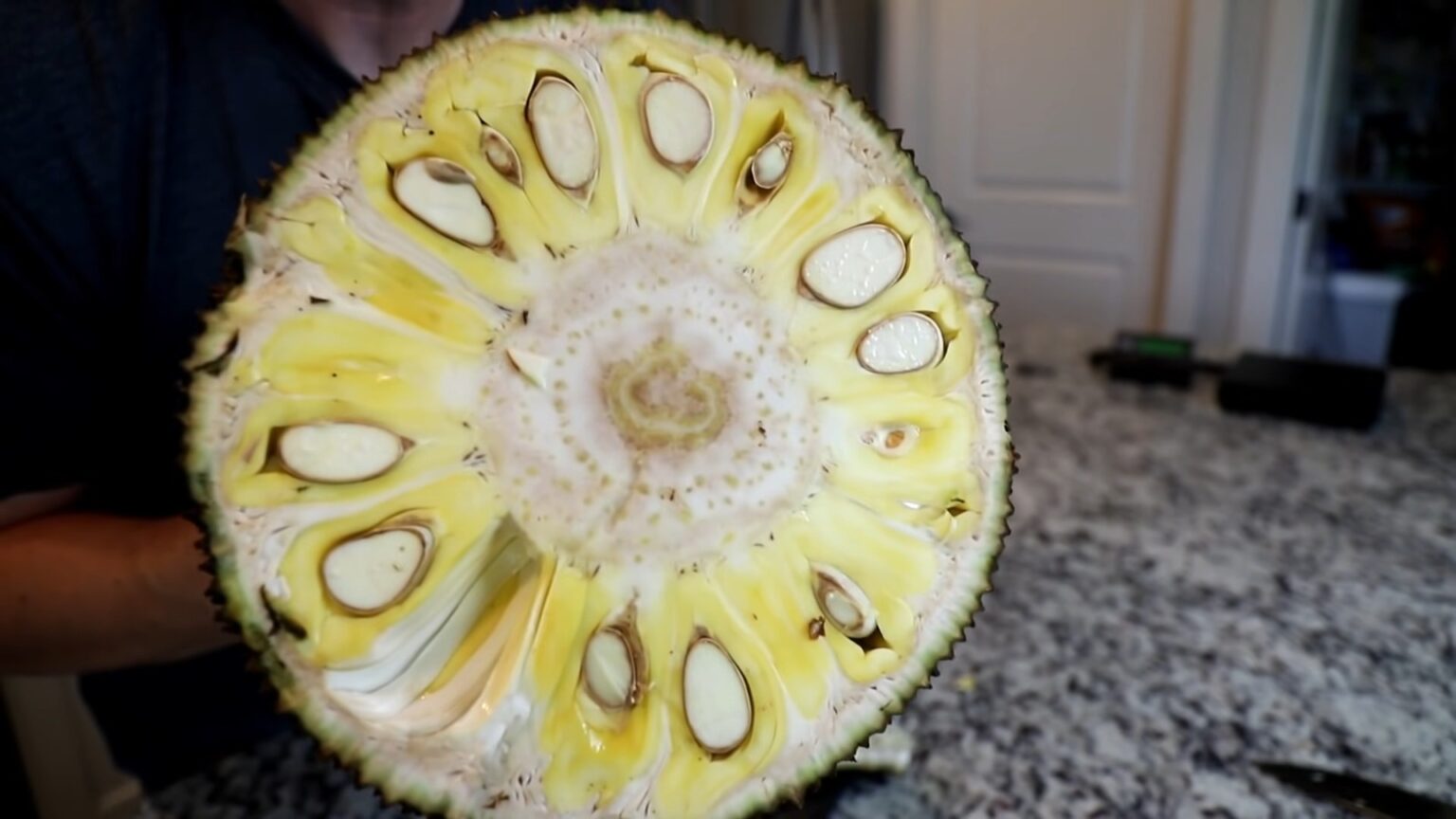 Can You freeze jackfruit From Tree to Freezer