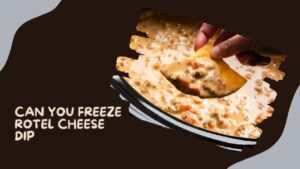 Freeze Rotel Cheese Dip
