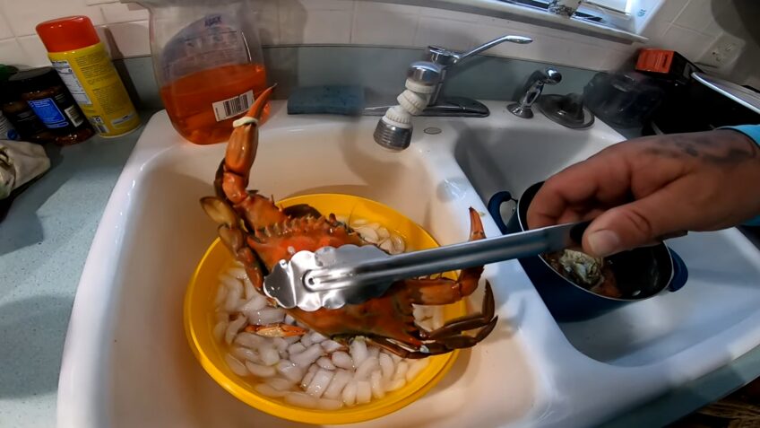 Can You Freeze Blue Crabs