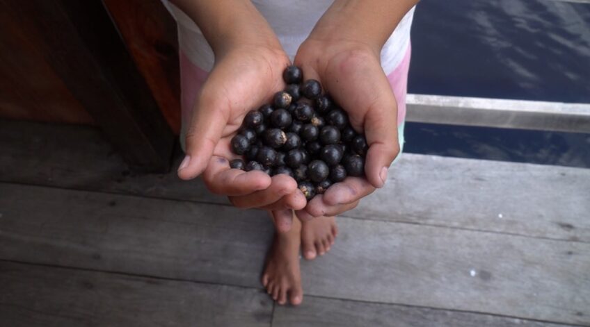 Acai Berries