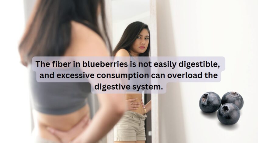 Blueberries Digestive Issues