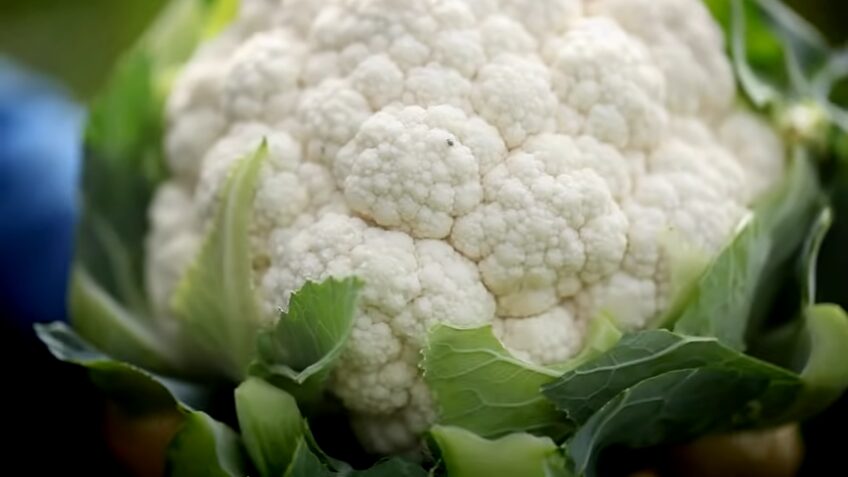 CAULIFLOWER