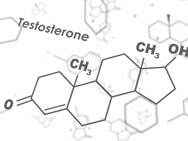 Testosterone