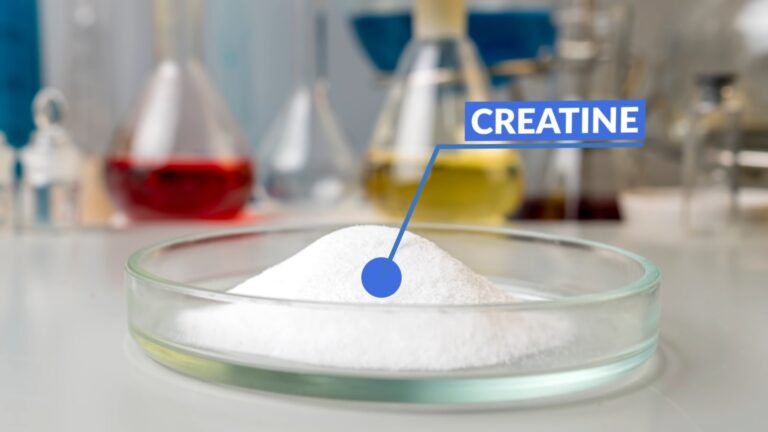 Does Creatine Increase Testosterone? - Grow in More Ways than One