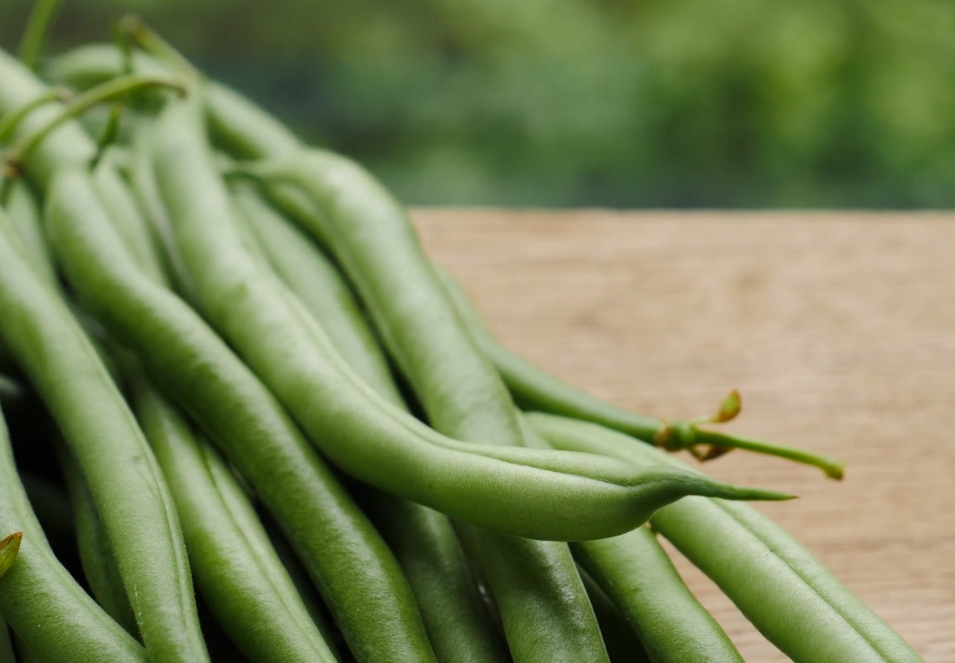 Cowpea Seeds