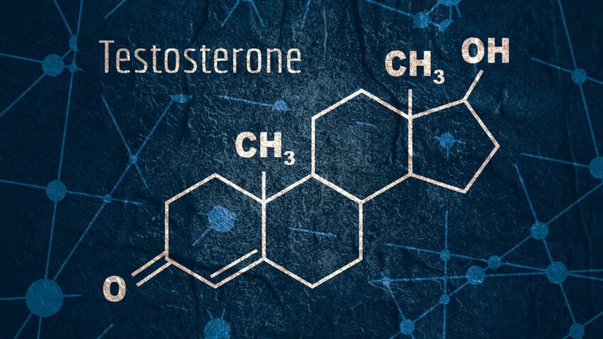 What is testosterone