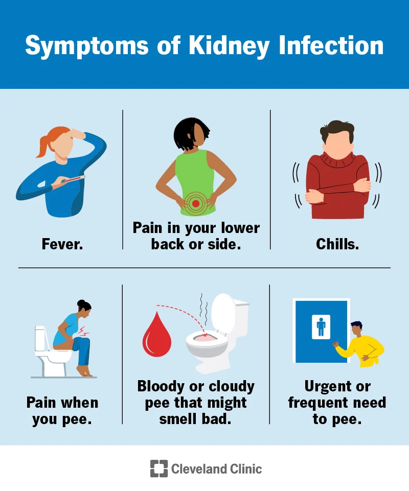 Understanding UTI Complications Can It Cause Spotting Fischer 