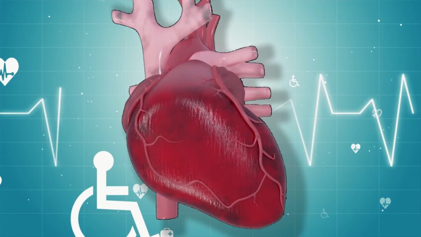 Best Foods For Cardiovascular Health