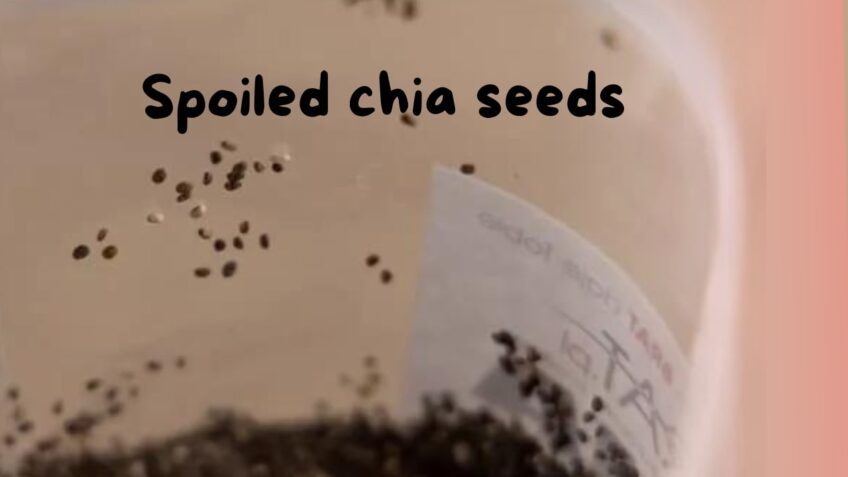 spoiled chia seed