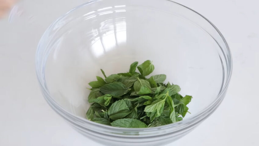 Mint health benefits