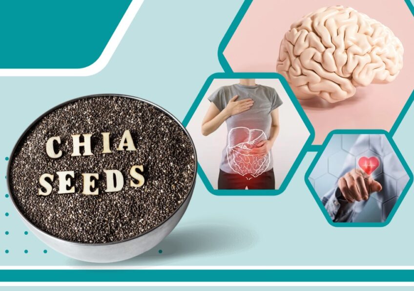 Power of Chia Seeds A Superfood for Your Brain, Stomach, and Heart
