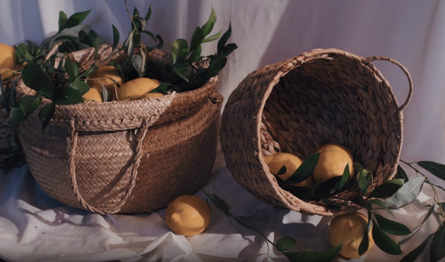 Lemons and Heart Health Lowering Blood Pressure Naturally Fischer