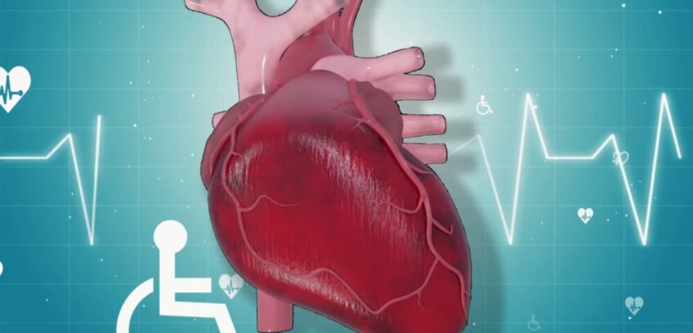 Best Foods For Cardiovascular Health