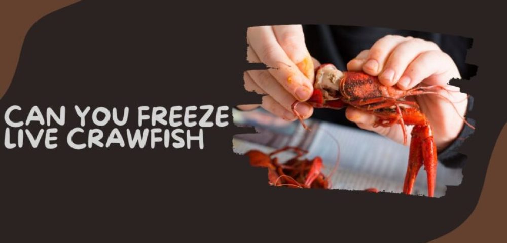 Can You Freeze Live Crawfish