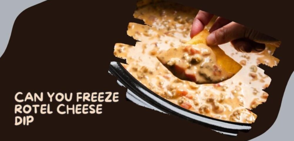 Freeze Rotel Cheese Dip