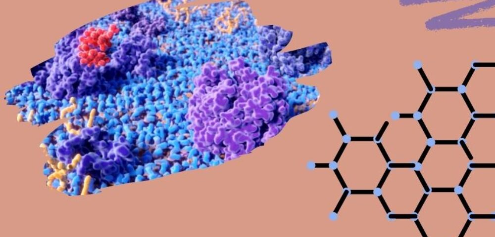 GHRP-2 and Modified GRF 1-29 Peptide Blend Studies