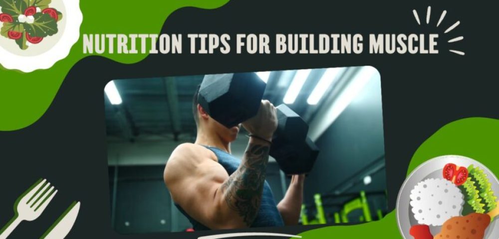 Nutrition Tips for Building Muscle 2