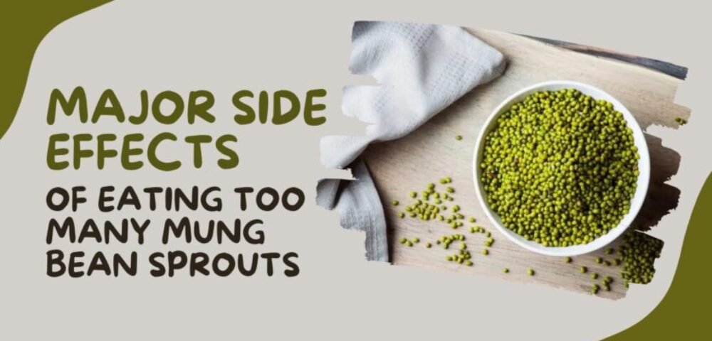 Side Effects of Eating Too Many Mung Bean Sprouts