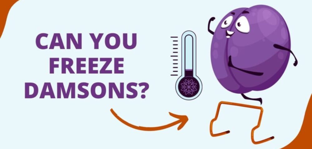 Unveiling the Potential of Damsons in the Freezer