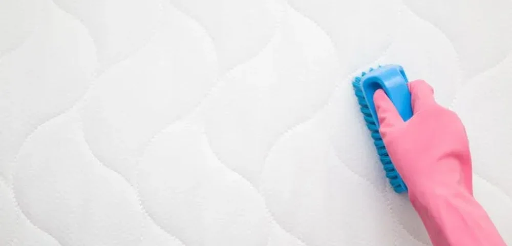 how-to-get-pee-out-of-mattress-main