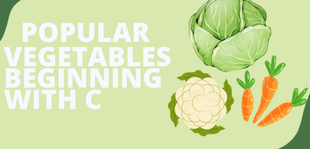 vegetables that start with c